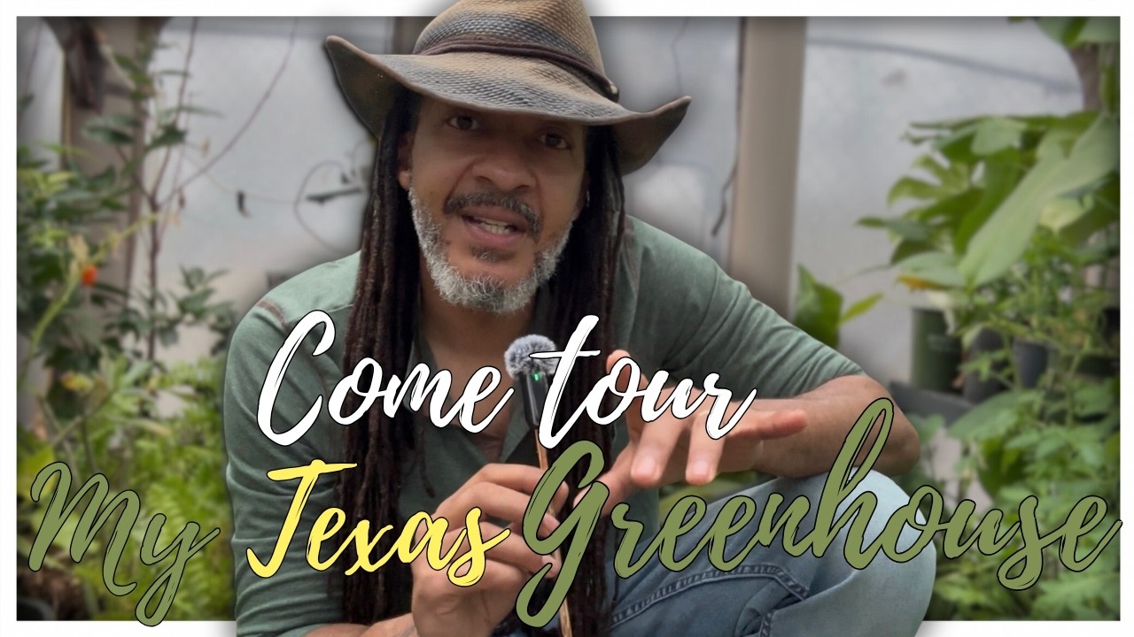 Portable Greenhouse Tour | Propagating Citrus & Tropical Plants