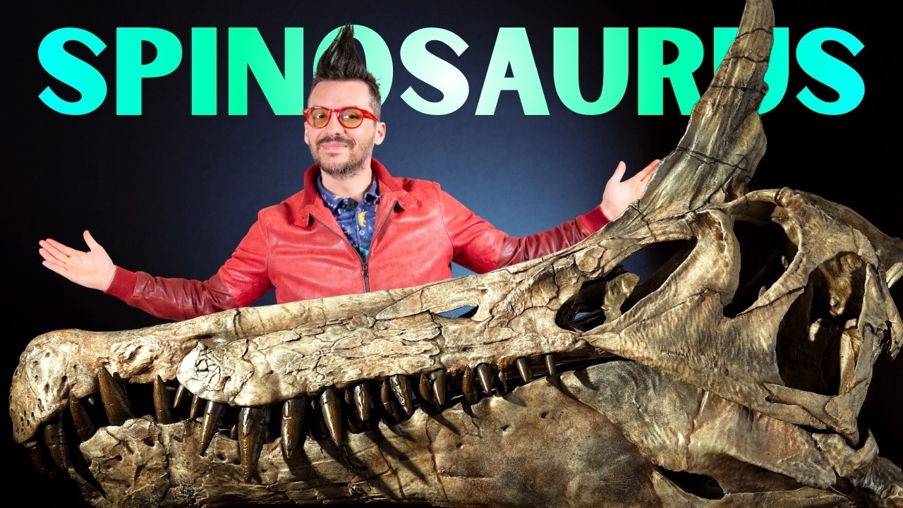 Spinosaurus mirabilis può essere S.aegyptiacus?
