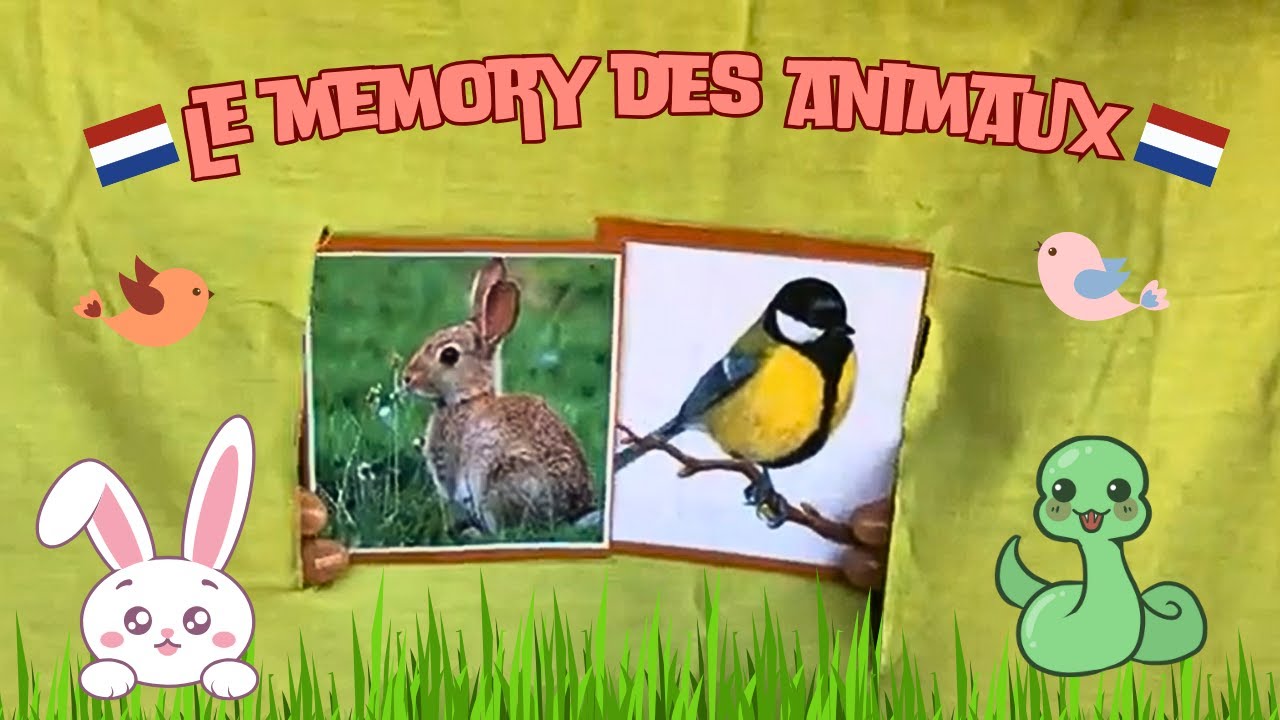 Le memory des animaux en néerlandais - pour les GS