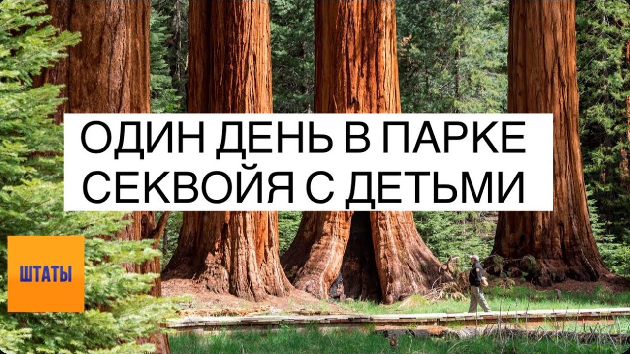 ОДИН ДЕНЬ В ПАРКЕ СЕКВОЙЯ С ДЕТЬМИ