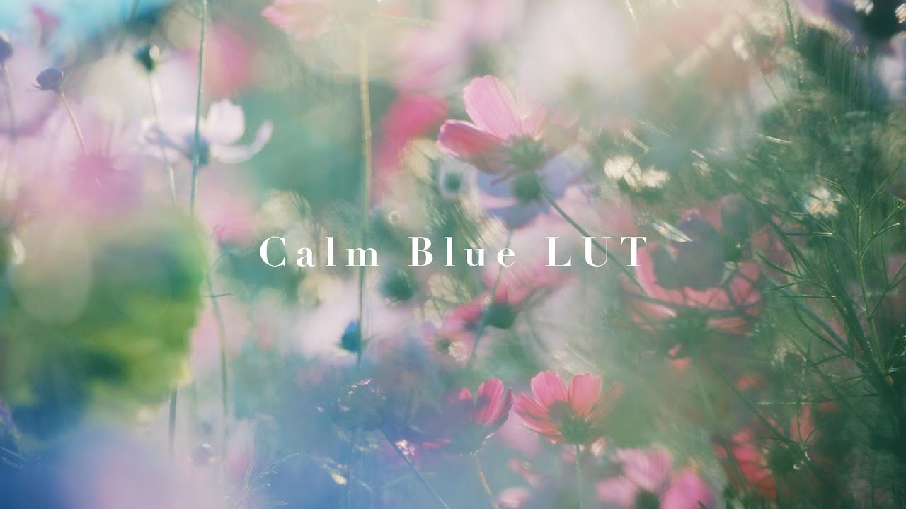 LUT「Calm Blue」 | 心穏やかになる色を求めて