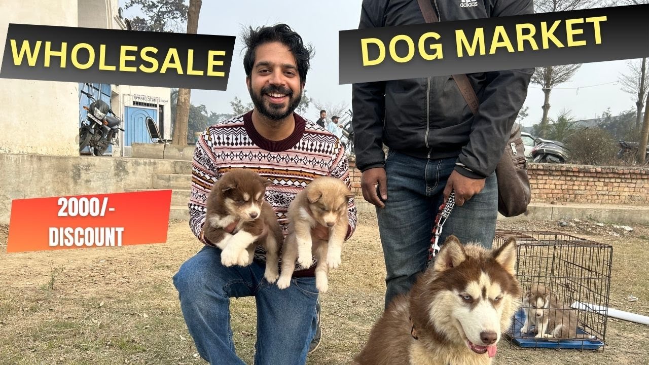 INDIA KI WHOLESALE PUPPY MARKET IN KHANNA, PUNJAB 2024 | PART-III #doglover