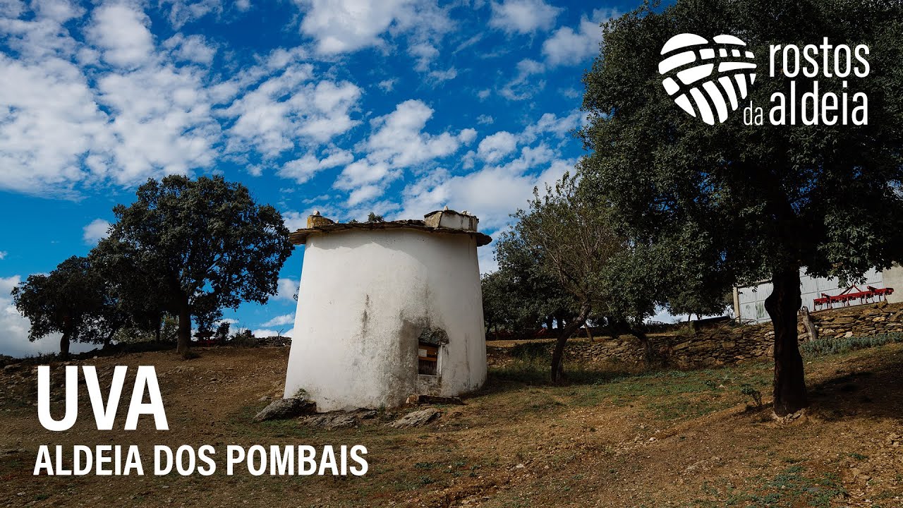 Rostos da Aldeia - Uva