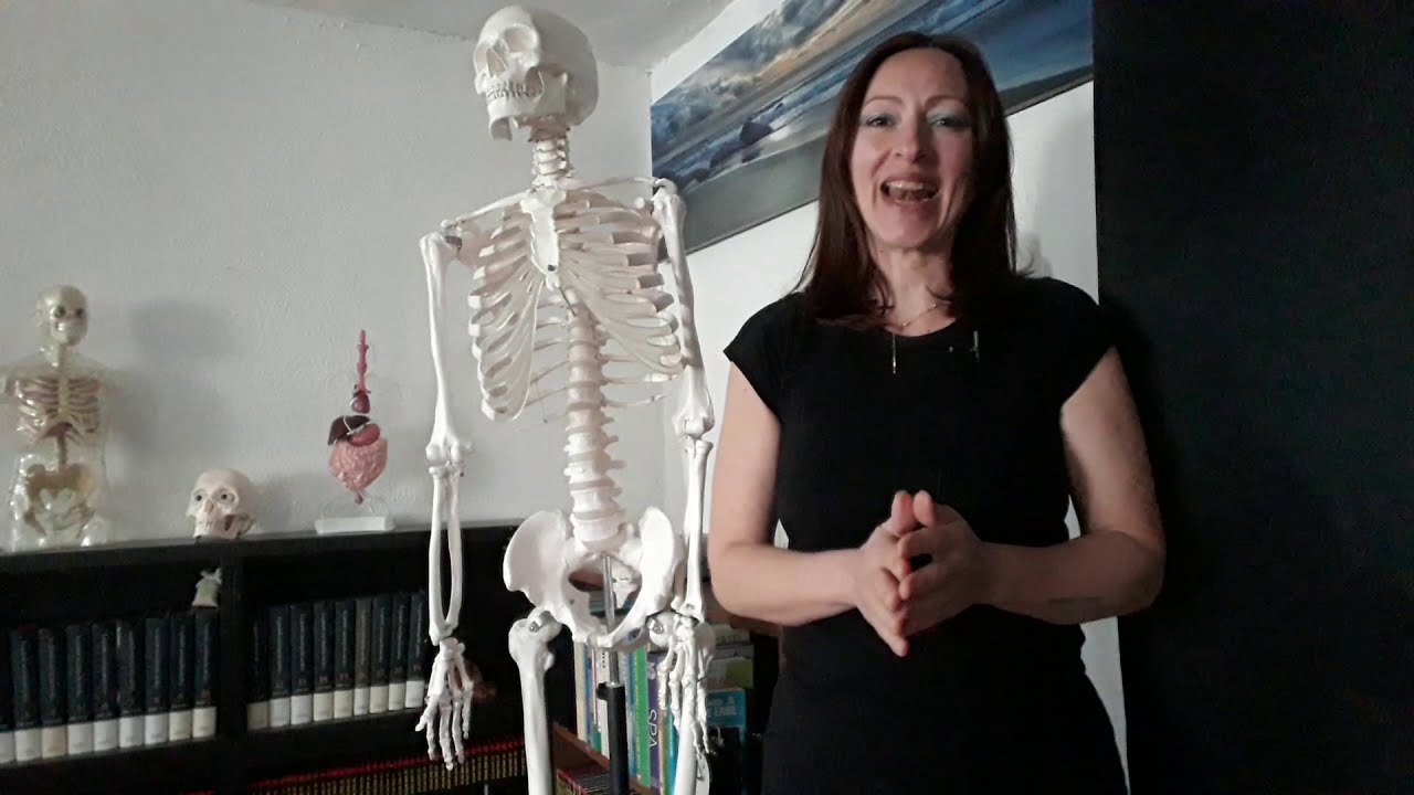Anatomia. Concetti e Termini di Base. Parte I