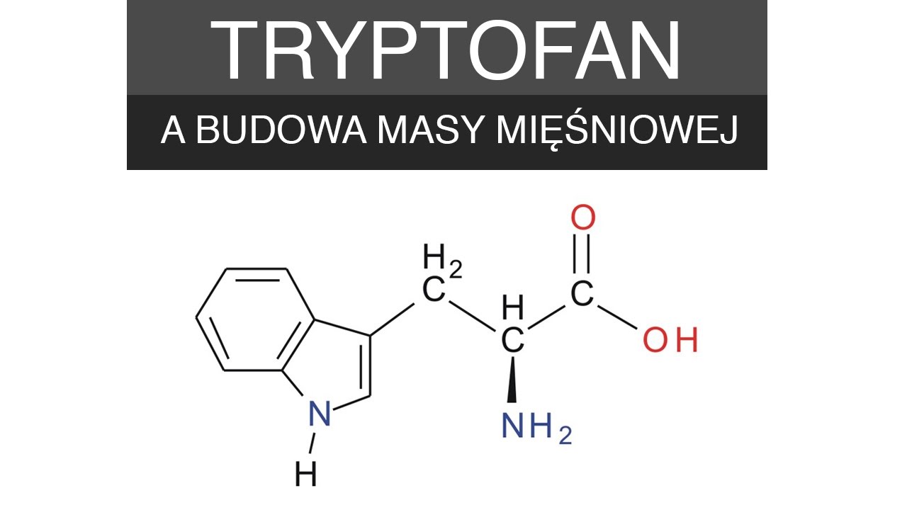 Tryptofan a budowa masy mięśniowej - [ Jacek Bilczyński ]