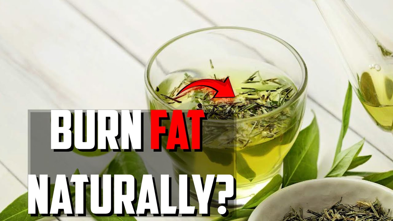 Health Benefits of Green Tea & How to Drink it | The Health Breakdown