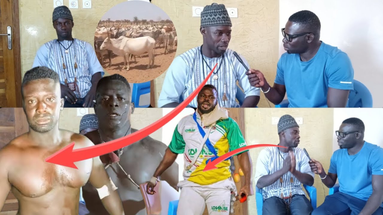 1ere partie Assane aliance Gueydé Sibi qui retrace sa carrière Ordinateur Tapha ndour ...