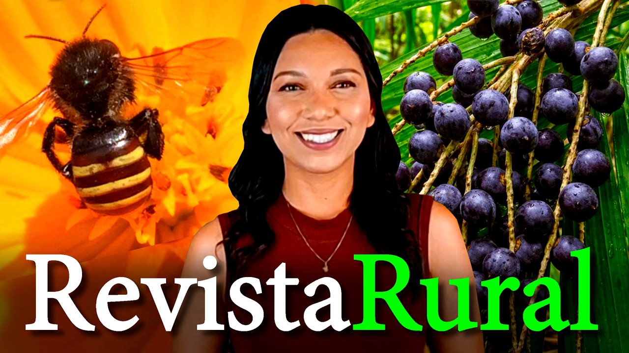 PROGRAMA REVISTA RURAL - 15/02/2026