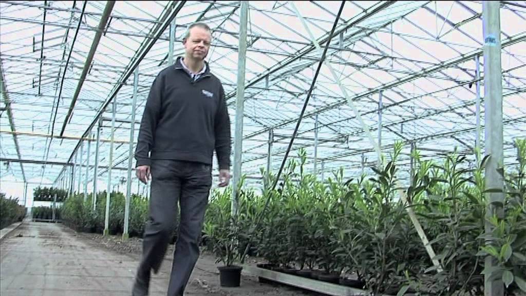 Hans van Strijdhoven: meer balans tussen input en output ...