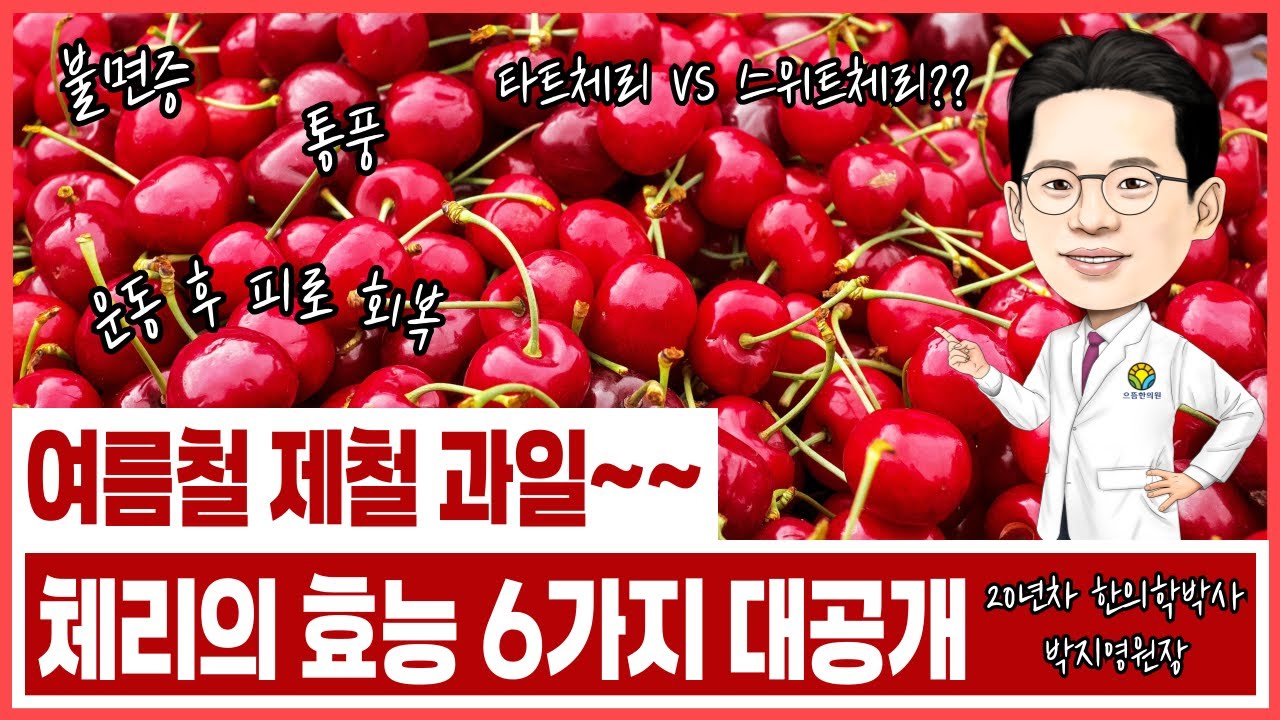치매, 당뇨환자도 안심하고 먹는 과일, 체리의 효능은? (feat. 불면증, 통풍, 운동 후 피로회복)