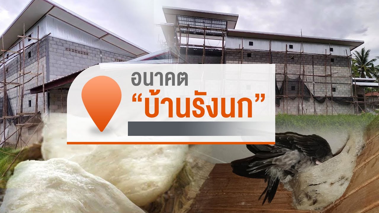 เส้นทางธุรกิจรังนกแอ่นภาคอีสาน | จับตารอบทิศนอกรอบ | 8 ธ.ค. 66