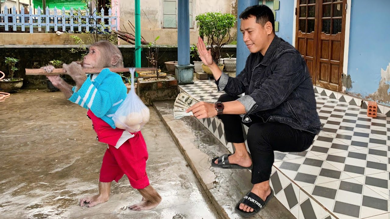 Super smart ! CUTIS help whole family in special way extremely extraordinary