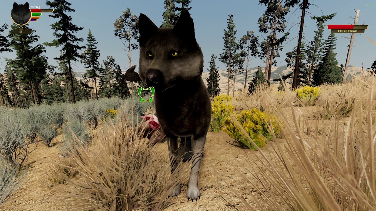 Wolf Quest Graphics Levels (Showcase?)
