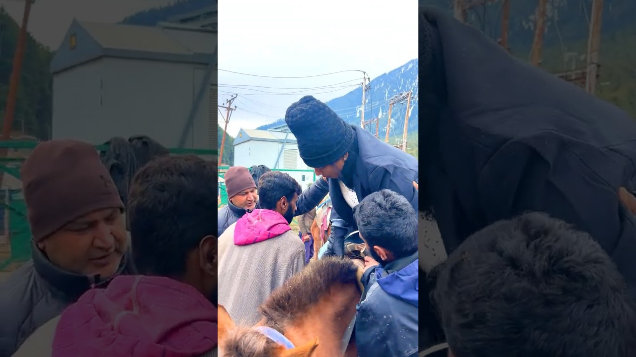 Pony Ride - Pahalgam- Kashmir