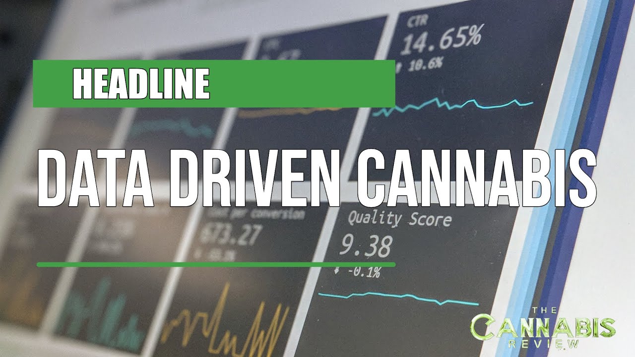 DATA DRIVEN CANNABIS | Alex Popoff (Business Intelligence)