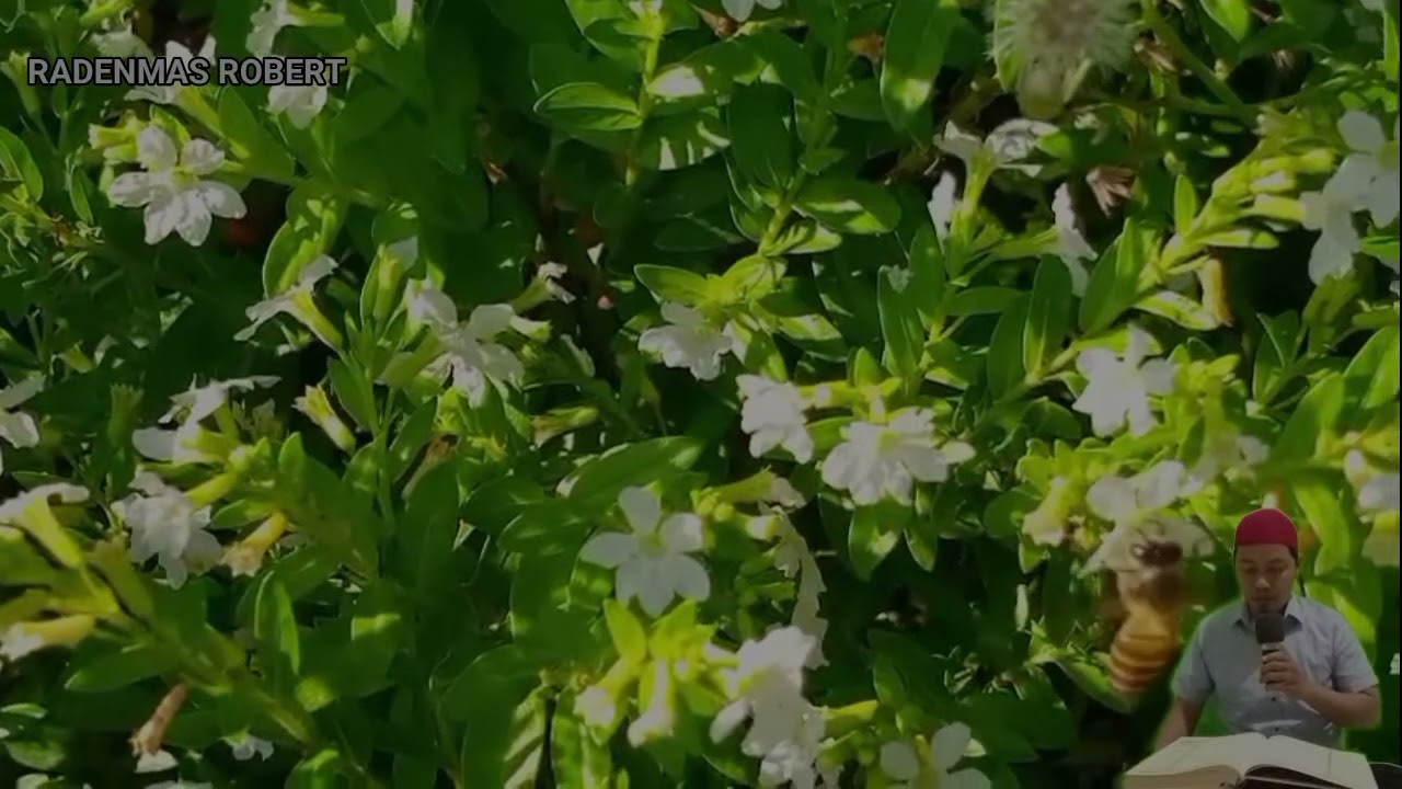 УШБУ СУРАНИ ХАР КУНИ УҚИНГ ЁКИ ЭШИТИНГ Кучли дуо, суралар