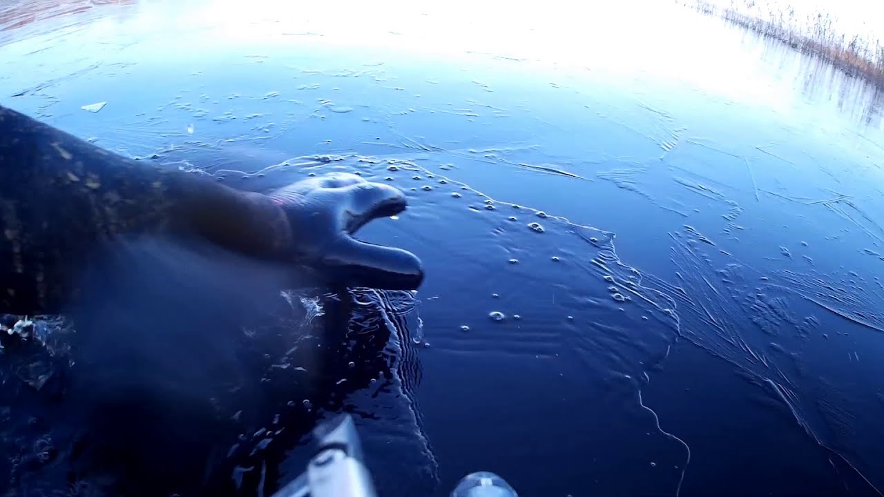 ПОДВОДНАЯ ОХОТА ОЗЕРО ОСТРОВЕНСКОЕ. Раки, Нашёл МЕРЕЖУ. UNDERWATER HUNTING. @РЫБАЛКА С ОХОТОЙ