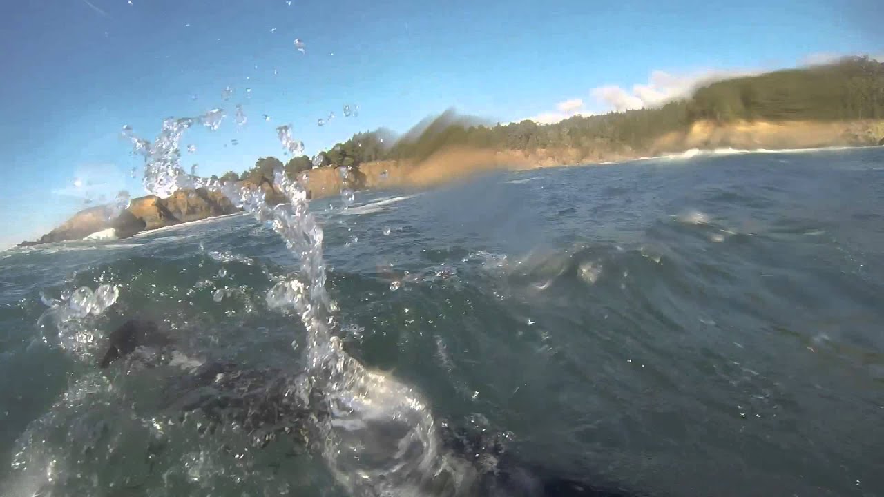 Scuba Diver runs out of air!!