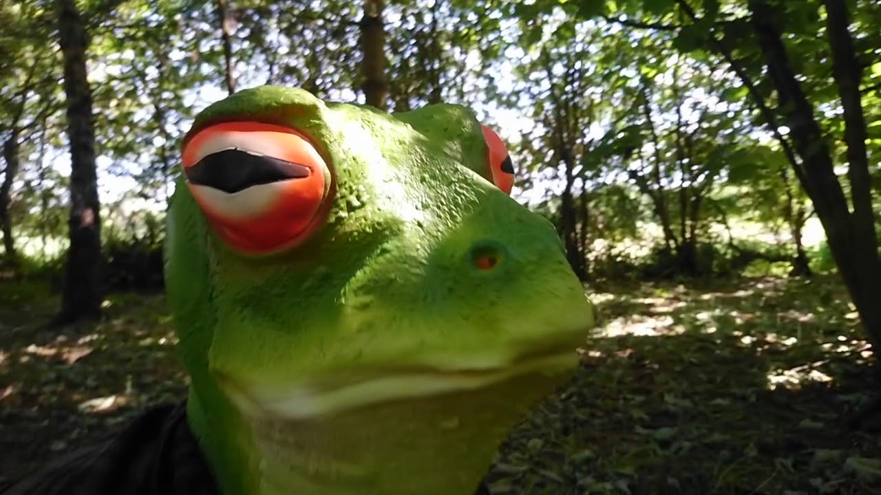 Froglord - The Froglord (Music Video)
