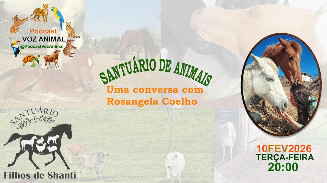 𝐒𝐚𝐧𝐭𝐮á𝐫𝐢𝐨 𝐝𝐞 𝐚𝐧𝐢𝐦𝐚𝐢𝐬: C𝐨𝐦 𝐑𝐨𝐬𝐚𝐧𝐠𝐞𝐥𝐚 𝐂𝐨𝐞𝐥𝐡𝐨