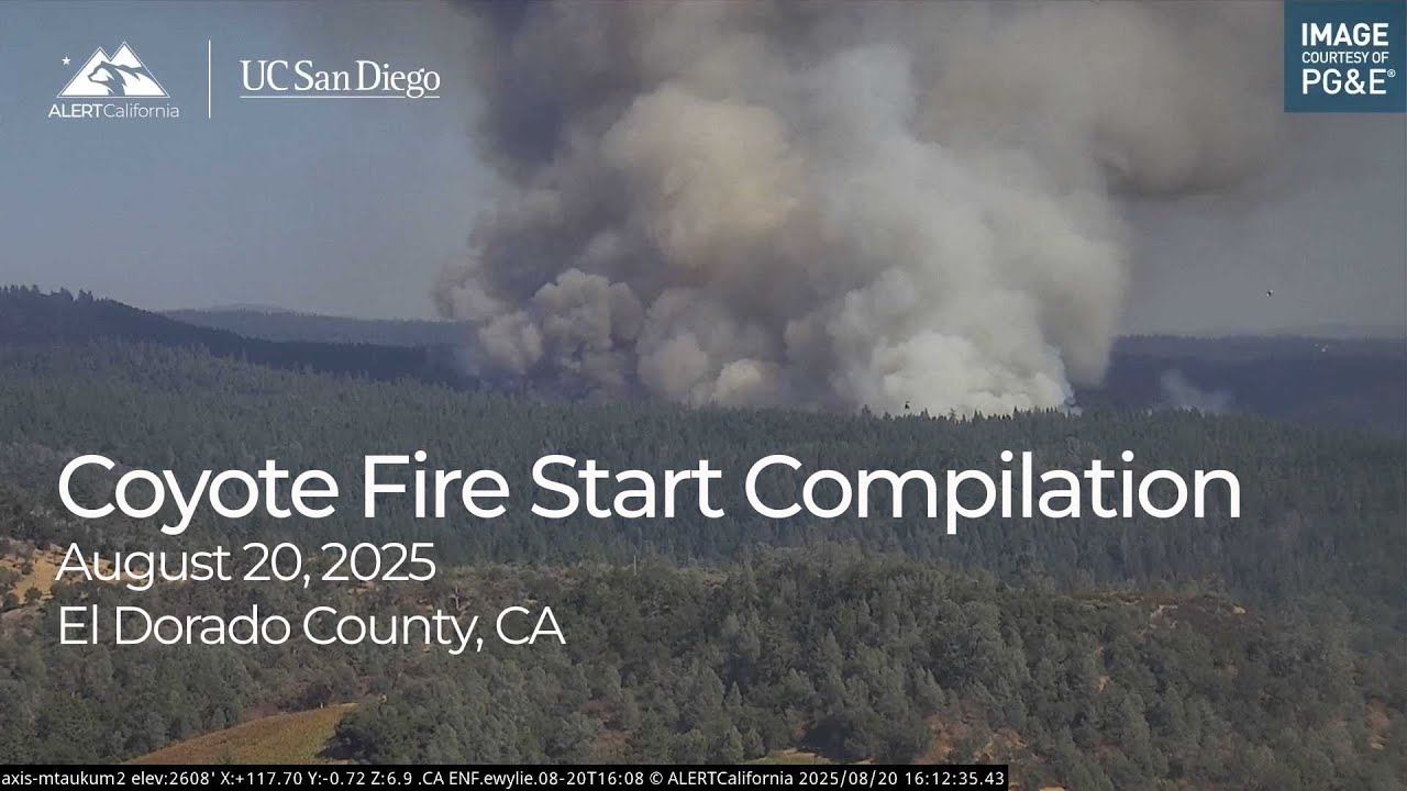 Coyote Fire Start and Growth Compilation