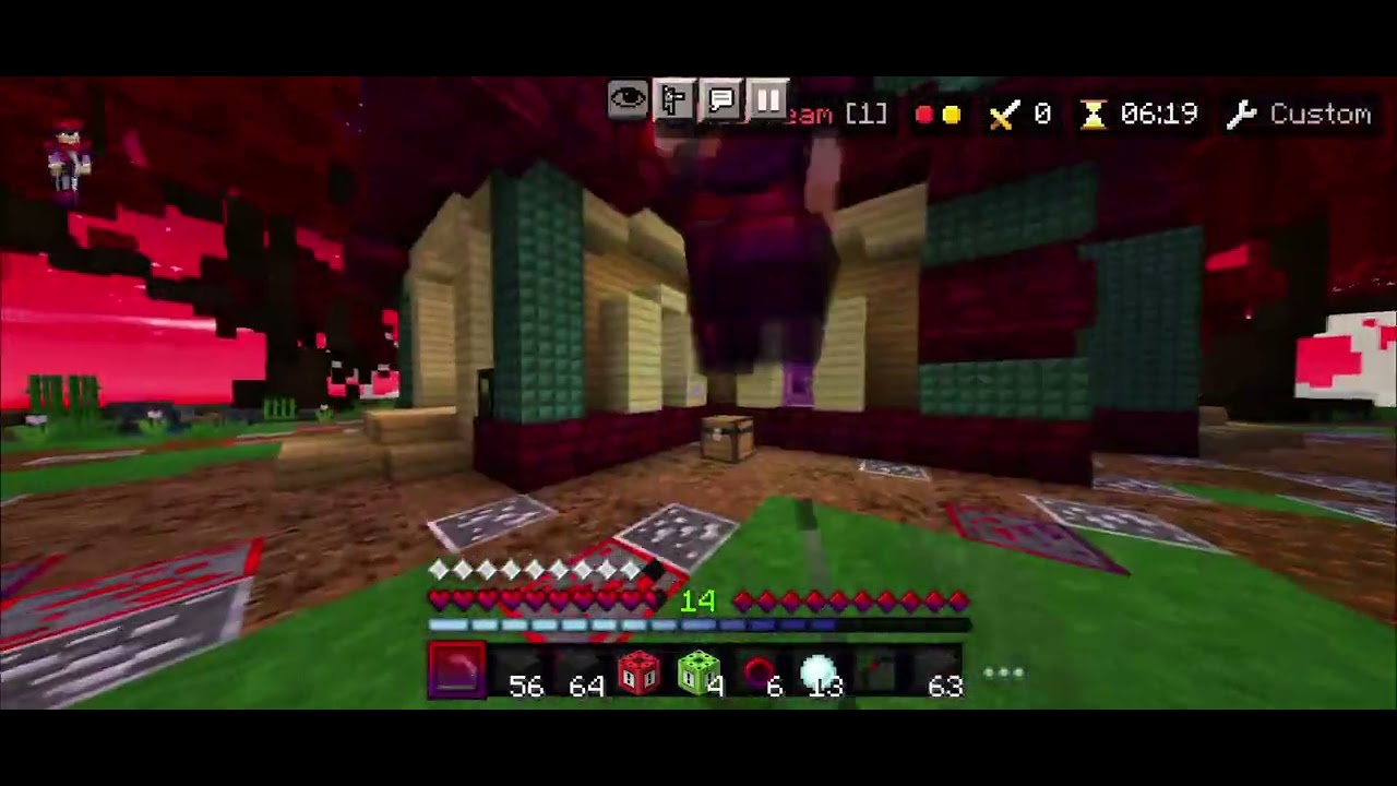 LT5 (i suck) HIVE SKYWARS