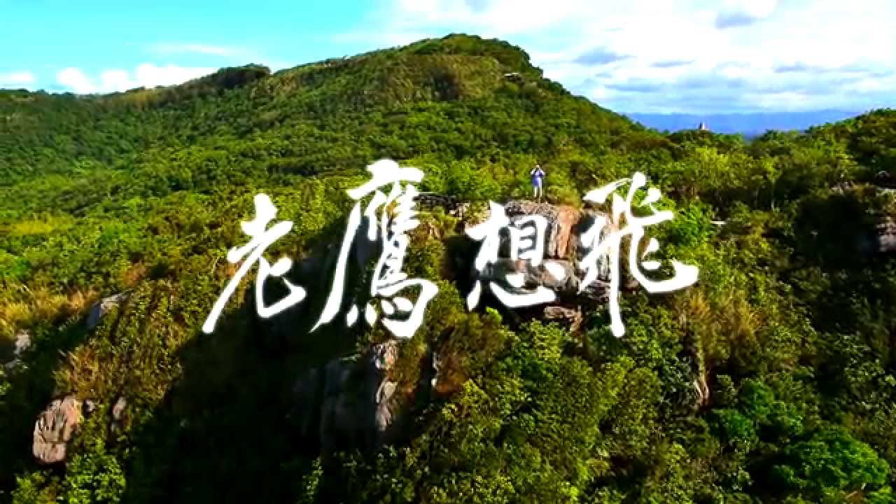 《老鷹想飛》正式預告 -11/20全台上映