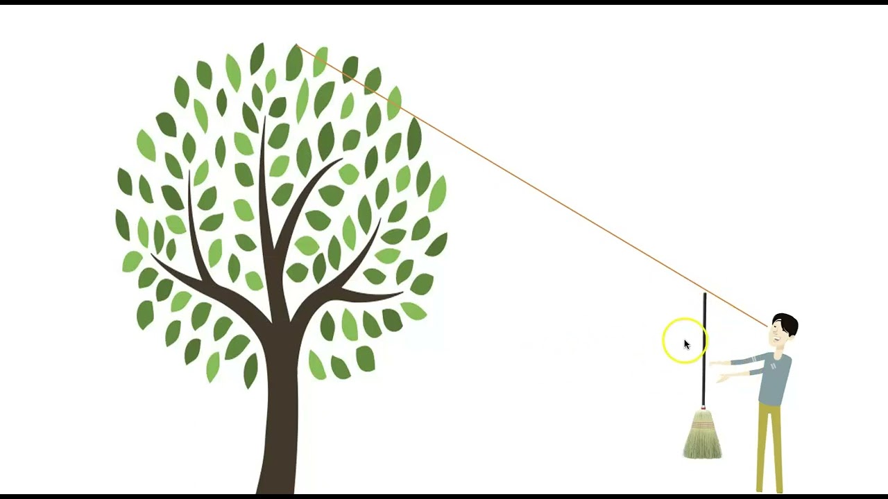 Didattica Outdoor -Come misurare l'altezza di un albero