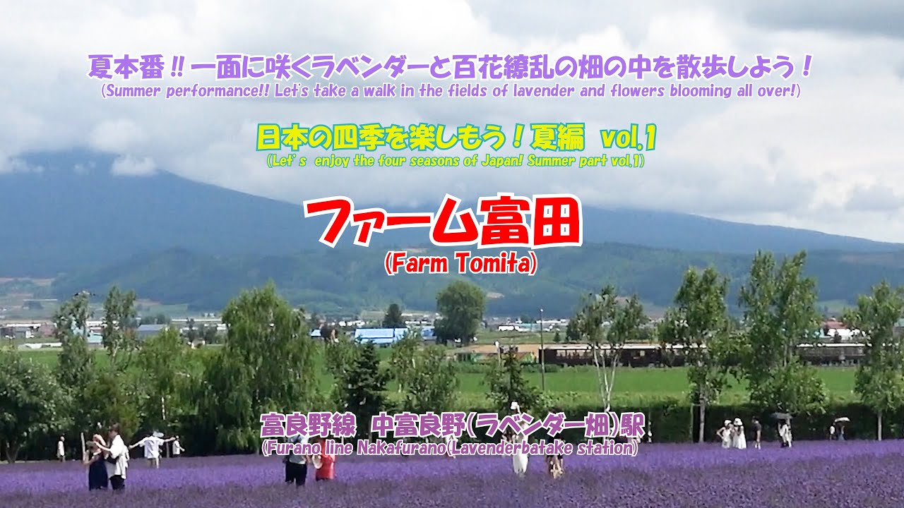 4K　ファーム富田　