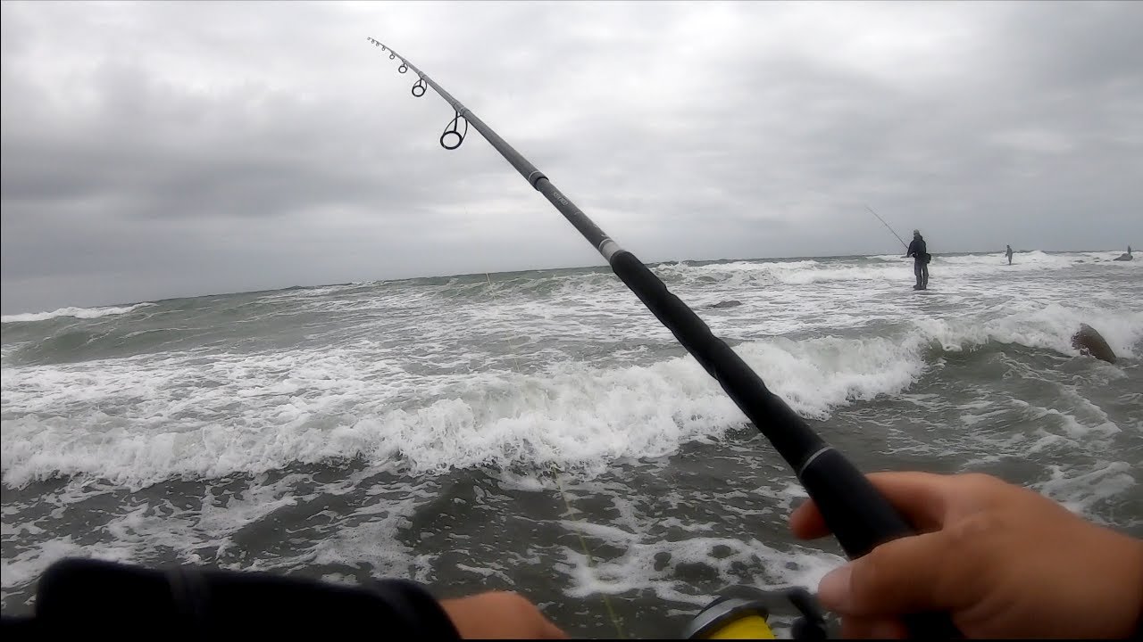 A Good Start to the FALL Season! - BIG Montauk SURF! (Fall Run Striper Fishing)