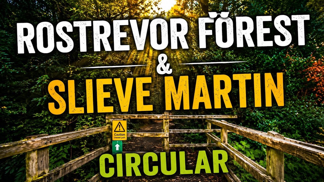 Rostrevor Forest & Slieve Martin