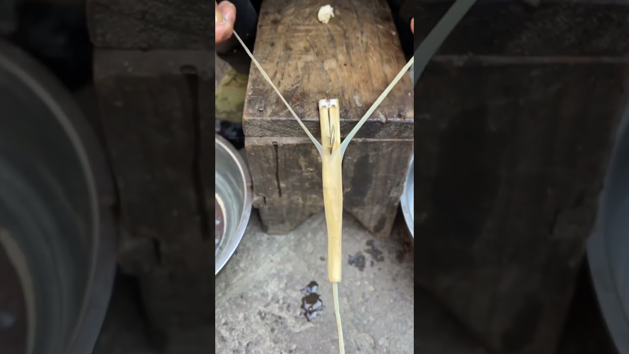Intangible Cultural Heritage: Making Gut Strings