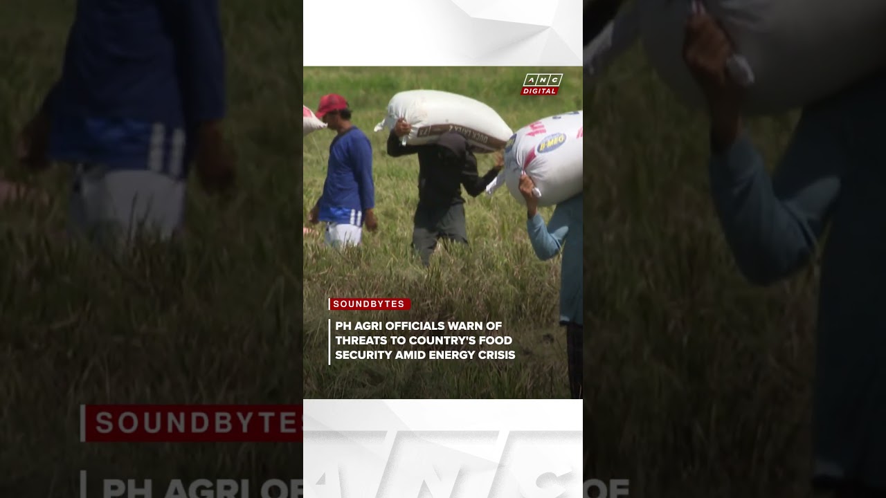 ДА призывает местные власти поддержать сельскохозяйственный сектор на фоне кризиса на Ближнем Вос...