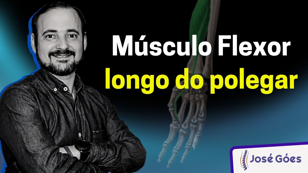 Músculo flexor longo do polegar | José Góes