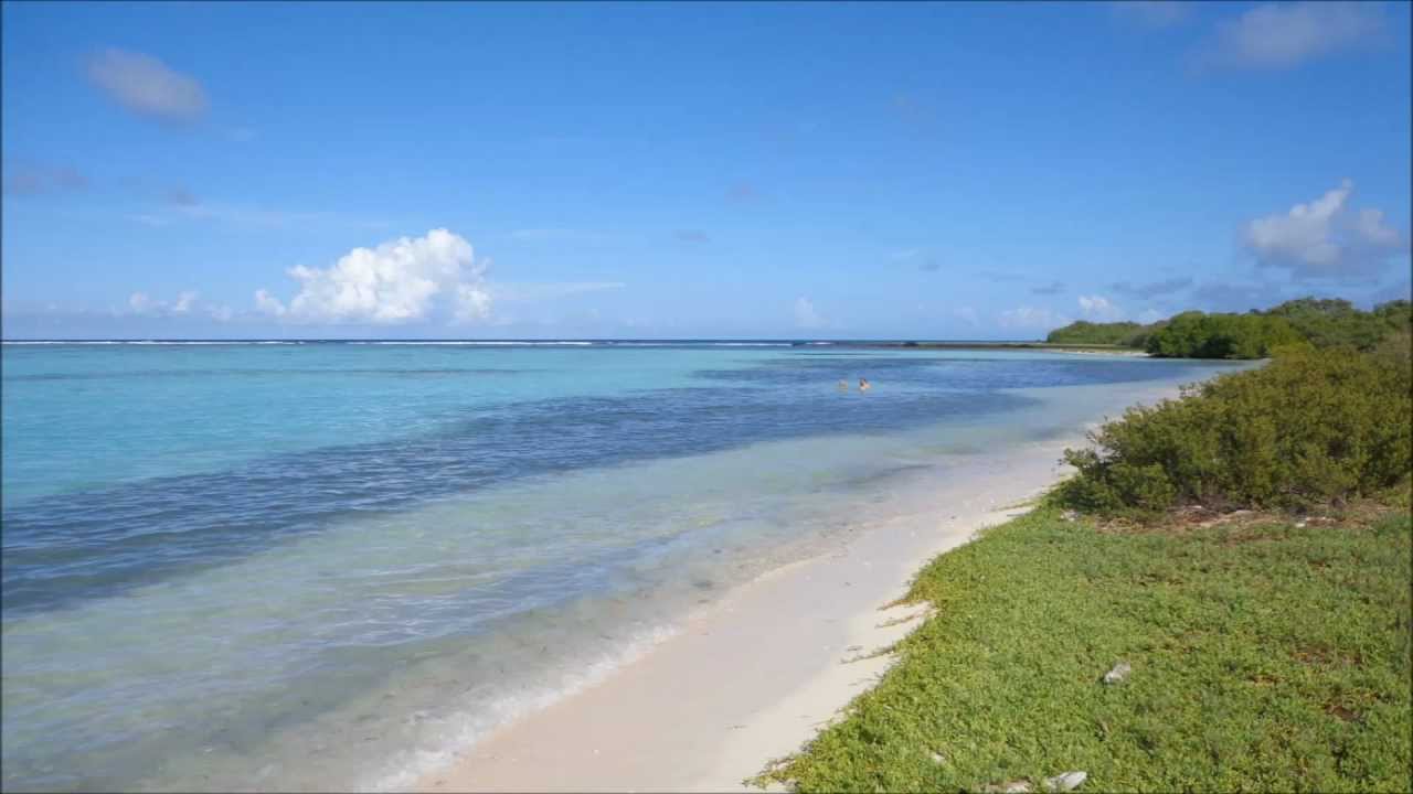 Francisqu&iacute; - Los Roques
