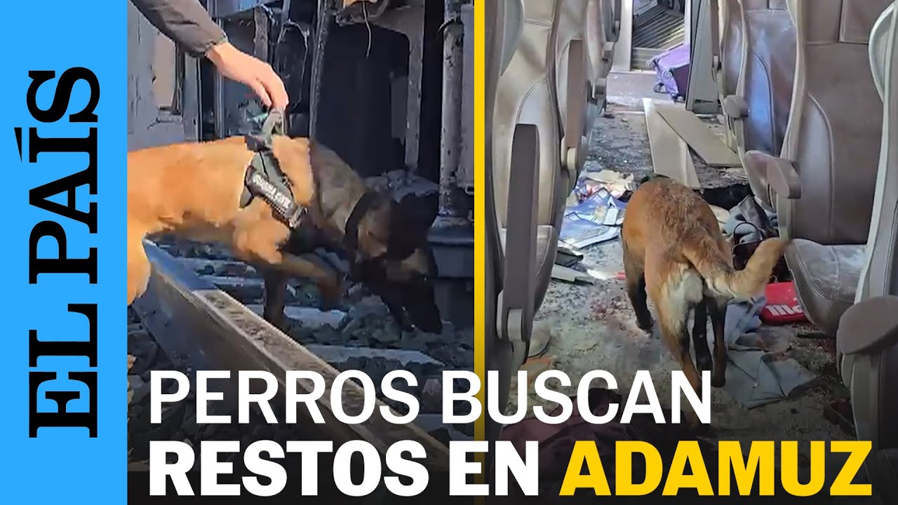 ACCIDENTE ADAMUZ | Los perros buscan evidencias en los vagones del IRYO | EL PAÍS