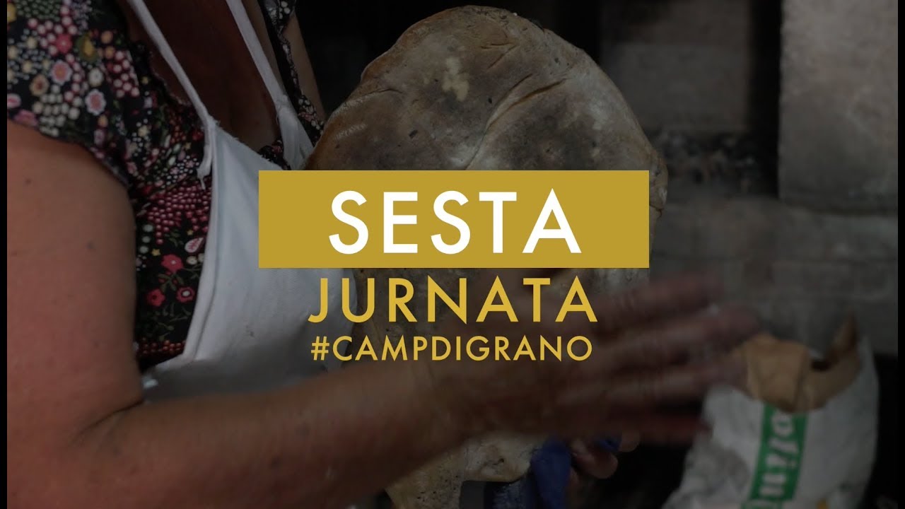 Sesta jurnata del #Campdigrano verso il #Paliodelgrano
