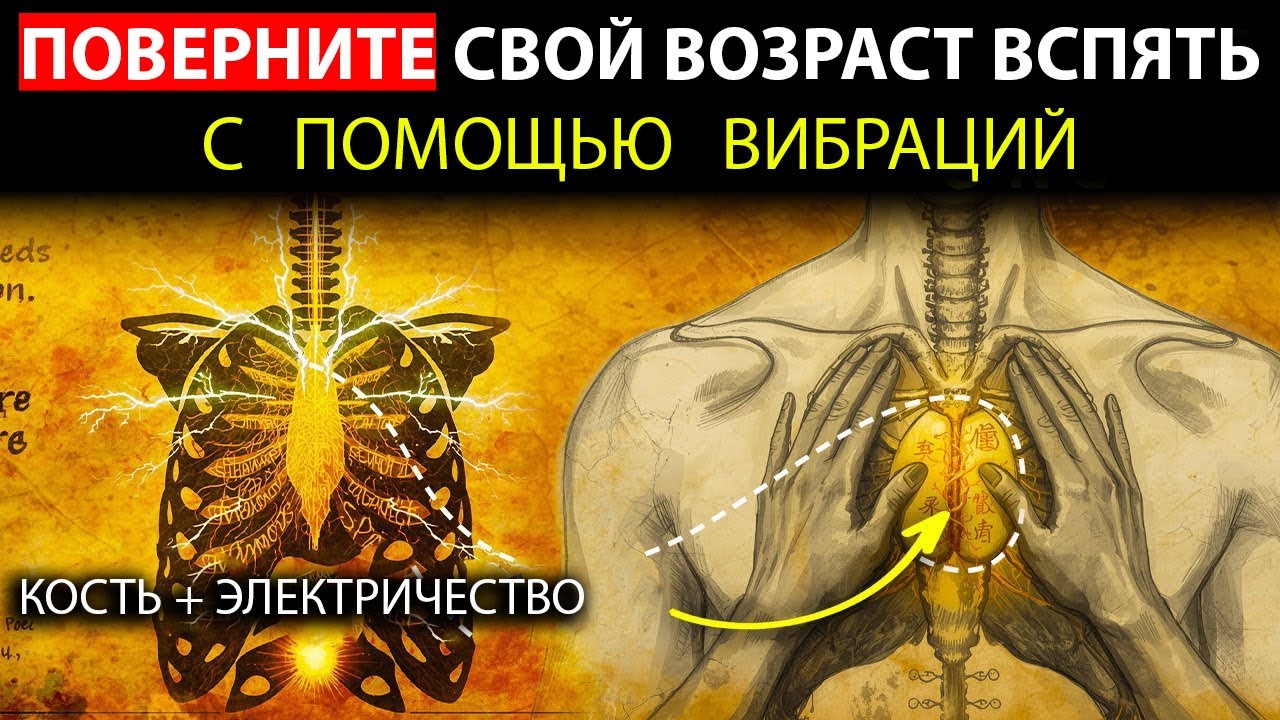 Трюк с вилочковой железой, который обращает старение вспять за одну ночь