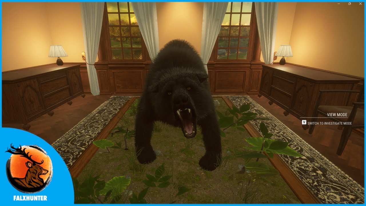 THE CONTENT CREATOR'S FAUX PAS | Melanistic Brown Bear