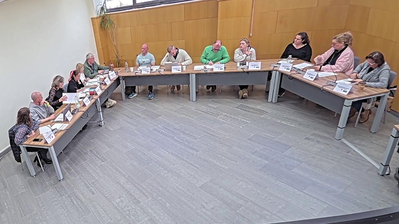 Ple Ordinari Municipal 25-03-2025