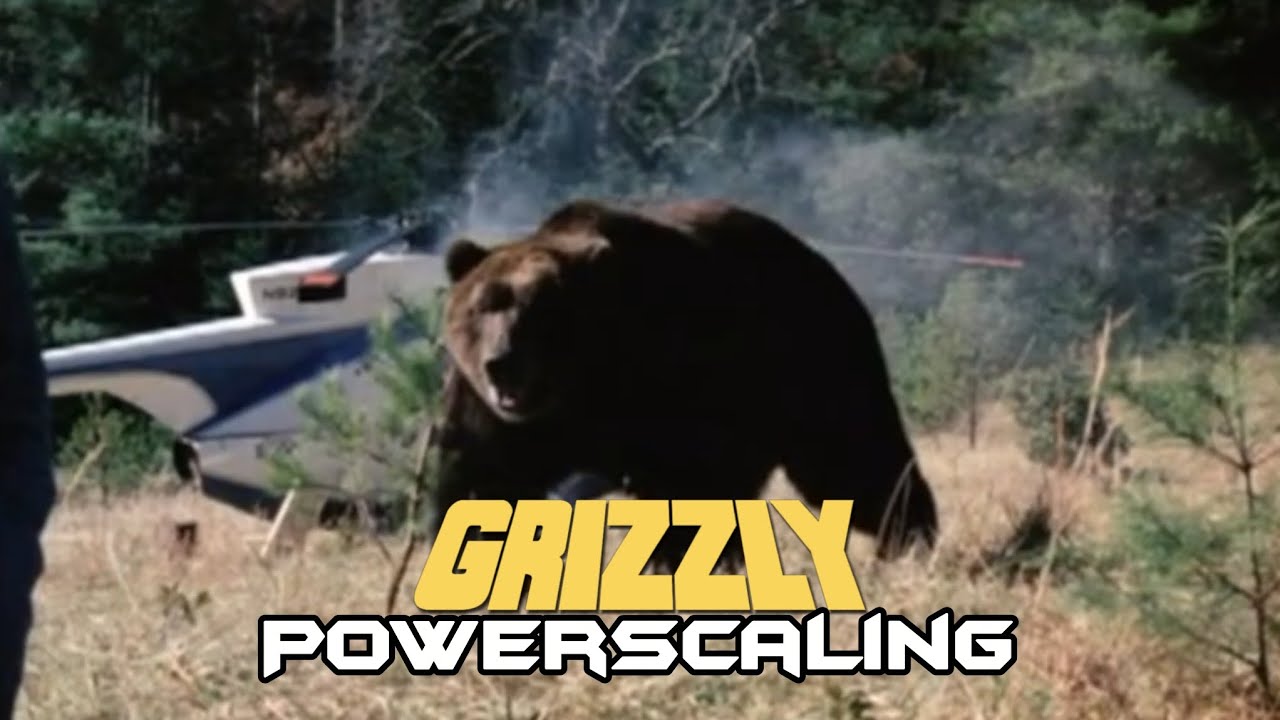 ¿que tan fuerte es el oso grizzly? (grizzly 1976)