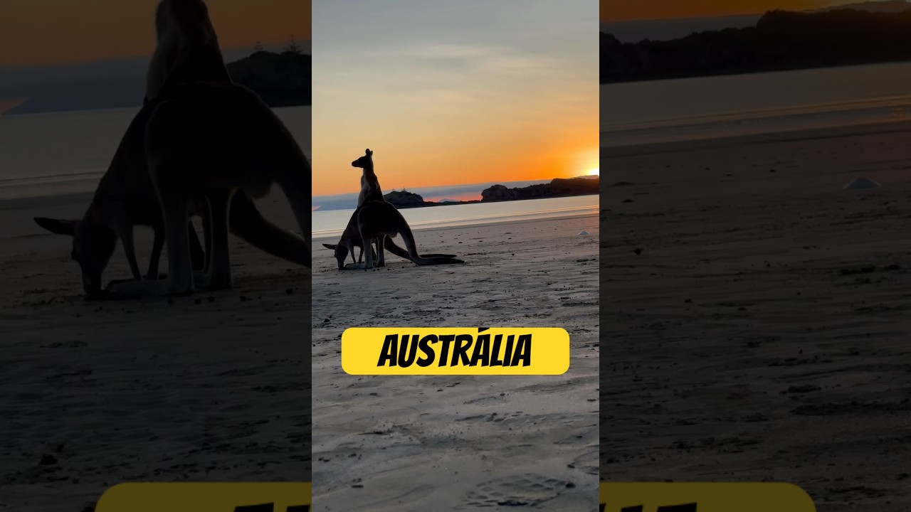 COMO É MORAR NA AUSTRÁLIA | best video ever