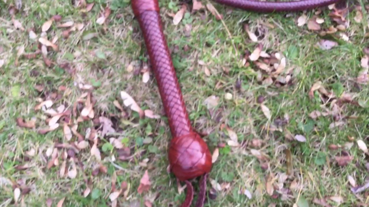 Joe strain bullwhip review