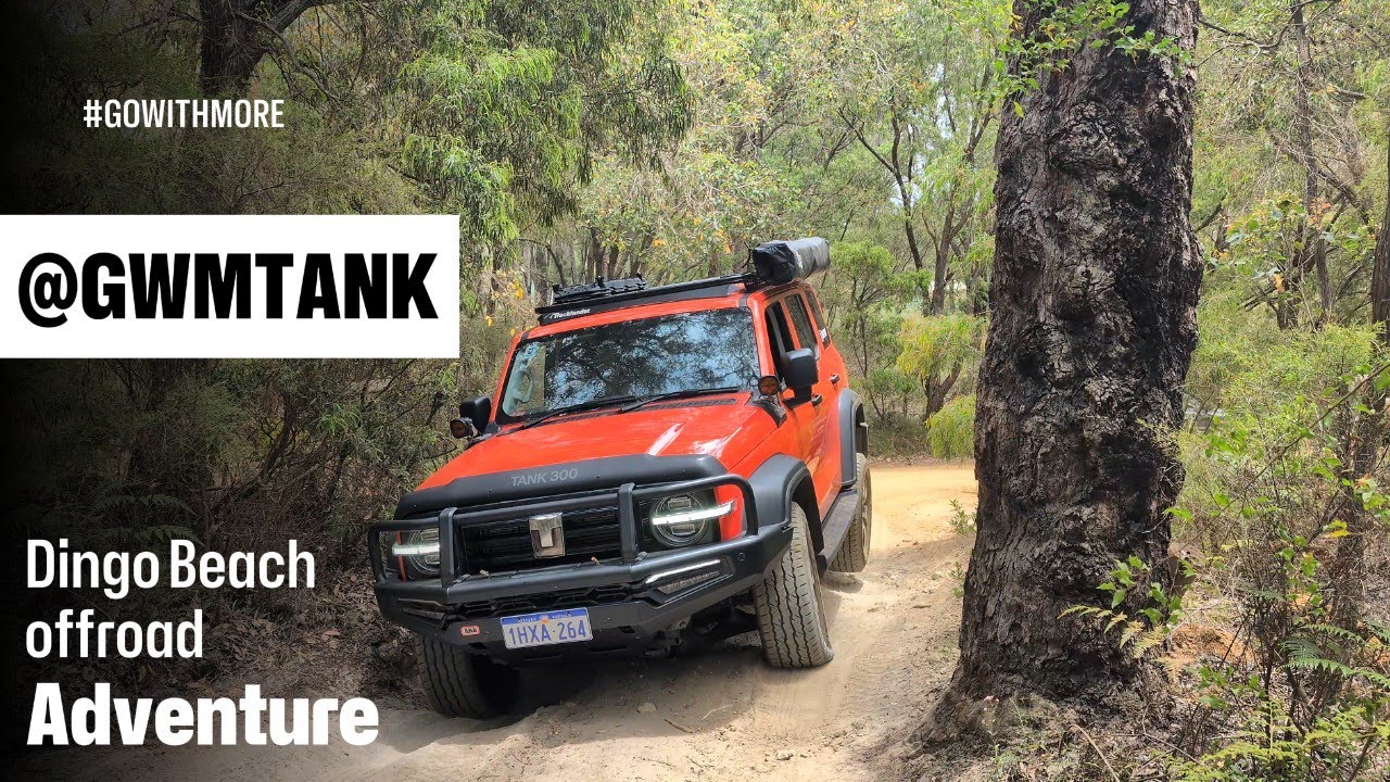 Tank 300 Off Road Australia Dingo Beach Adventure