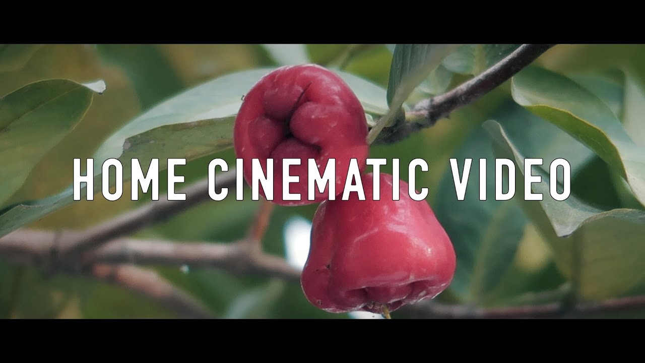 STAY AT HOME VIII | Mobile Cinematic Vide | Home Cinematic Video | Canon G7X mark ii