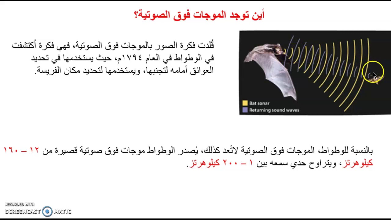 الموجات فوق الصوتية - أين توجد الموجات فوق الصوتية؟