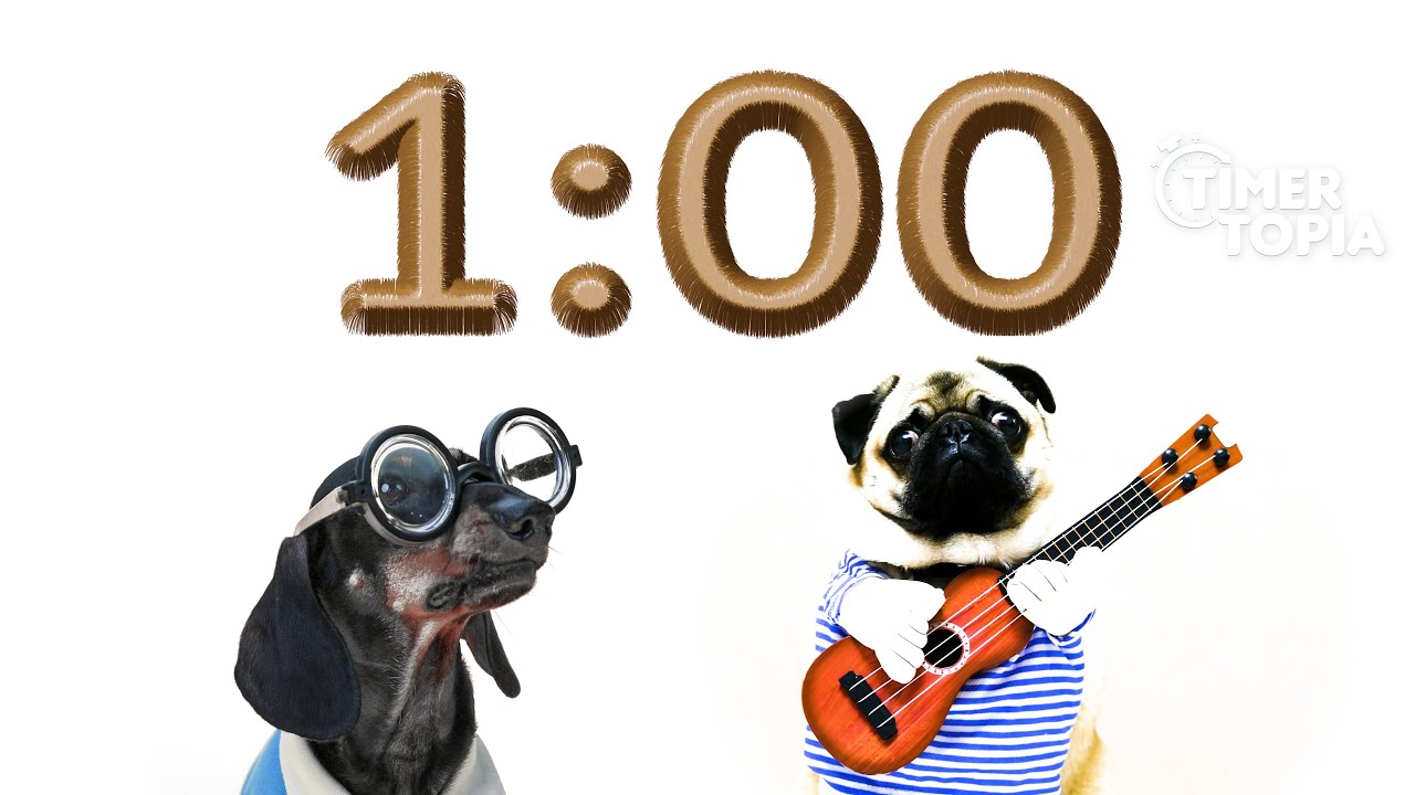 1 Minute Timer (DOG HEAVEN) 🐕