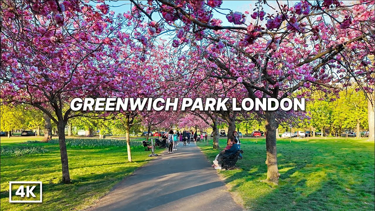 Most Beautiful Spot in London Right Now? 🌸 Cherry Blossoms & Views from Greenwich Park | 4K Walk