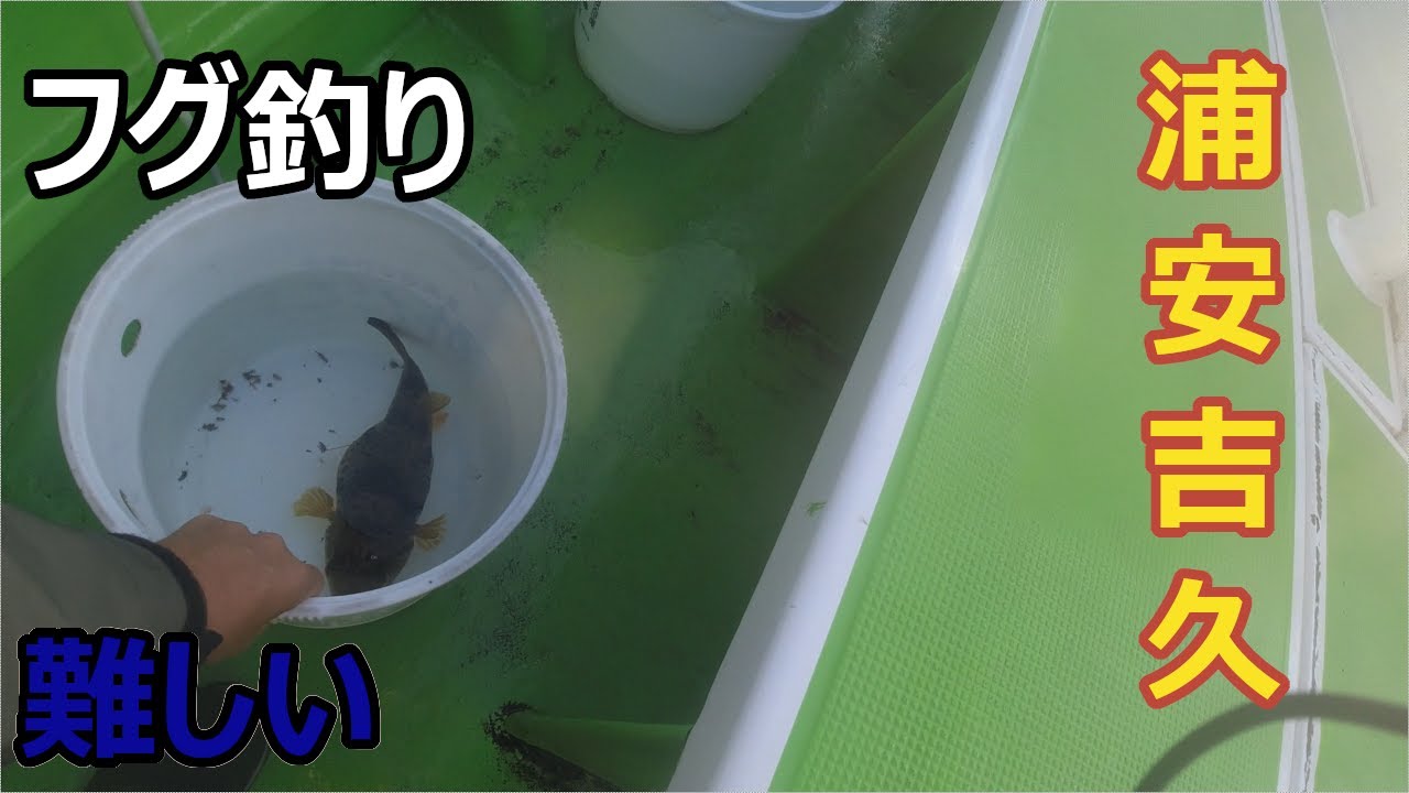 浦安吉久フグ釣り