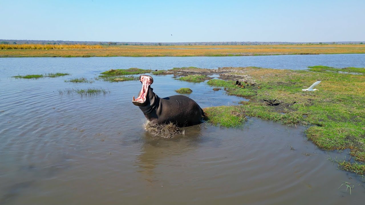Roadtrip through Namibia and Botswana